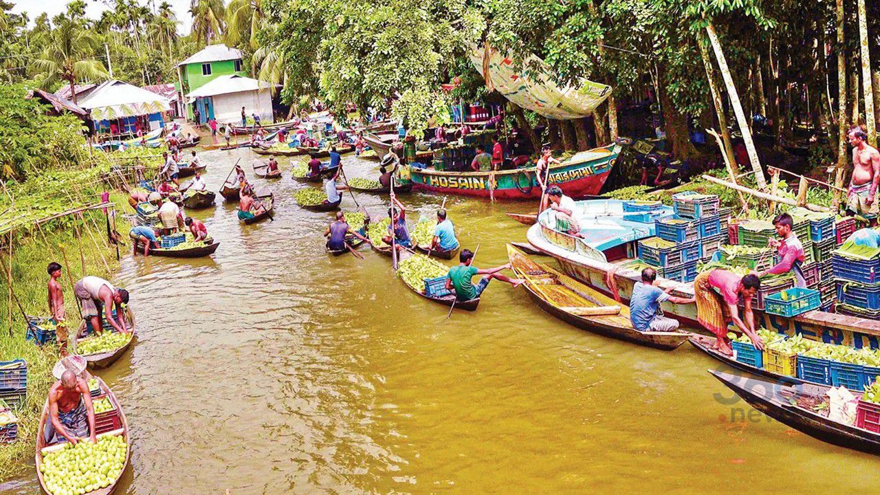 হিমাগারের অভাবে নষ্ট হচ্ছে কোটি টাকার পেয়ারা